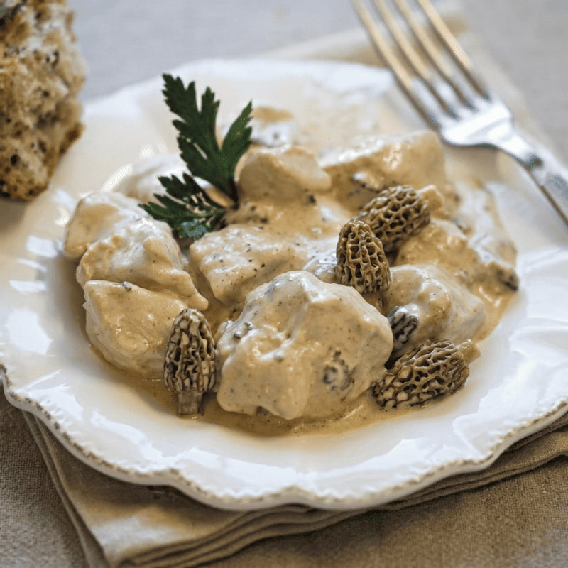 Blanquette de volaille aux morilles